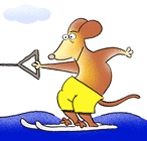Gif animé ski nautique souris